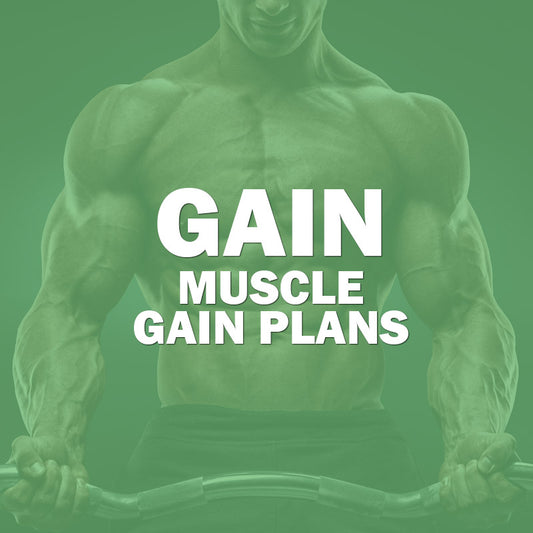 GAIN MEAL PLAN